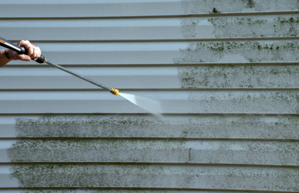 Best Fence Cleaning  in Thiells, NY